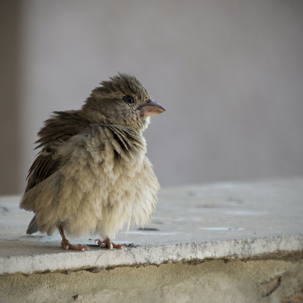 Photograph by Djordje Filipovic