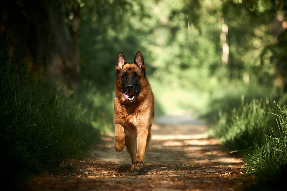 Фотография автора Дарина Матасова