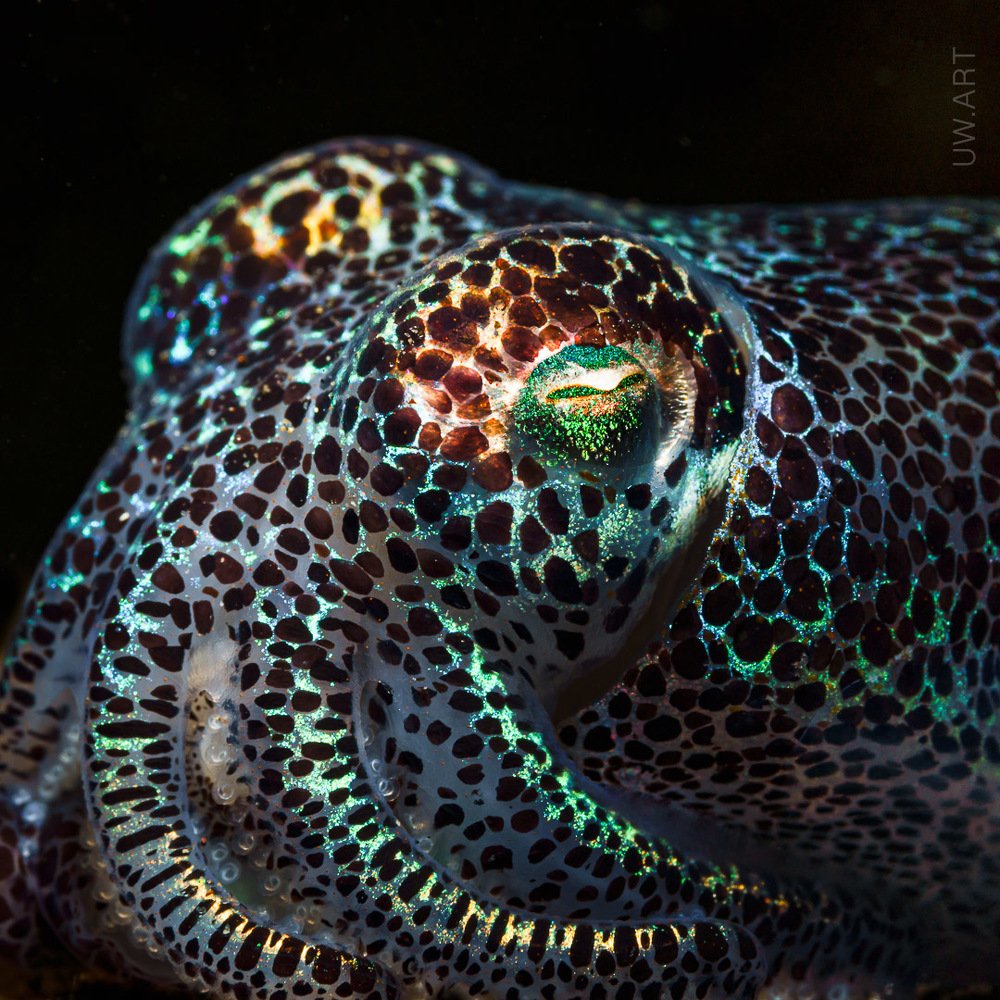 Photograph by Андрей Савин