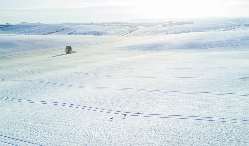 Photograph by Василий Яковлев
