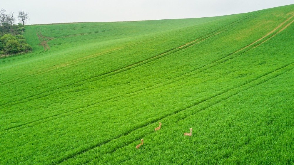 Photograph by Василий Яковлев