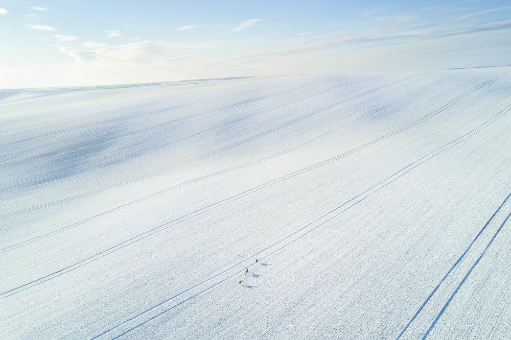 Photograph by Василий Яковлев