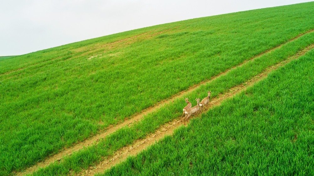 Photograph by Василий Яковлев