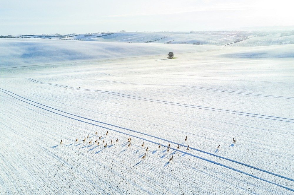 Photograph by Василий Яковлев