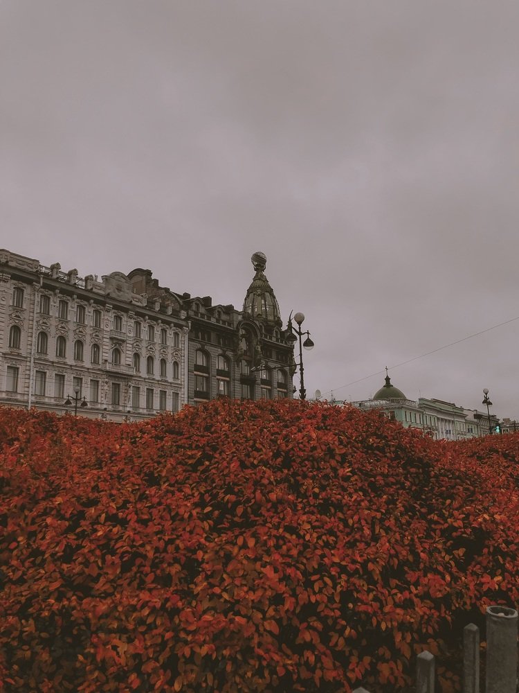 Photograph by Валерия