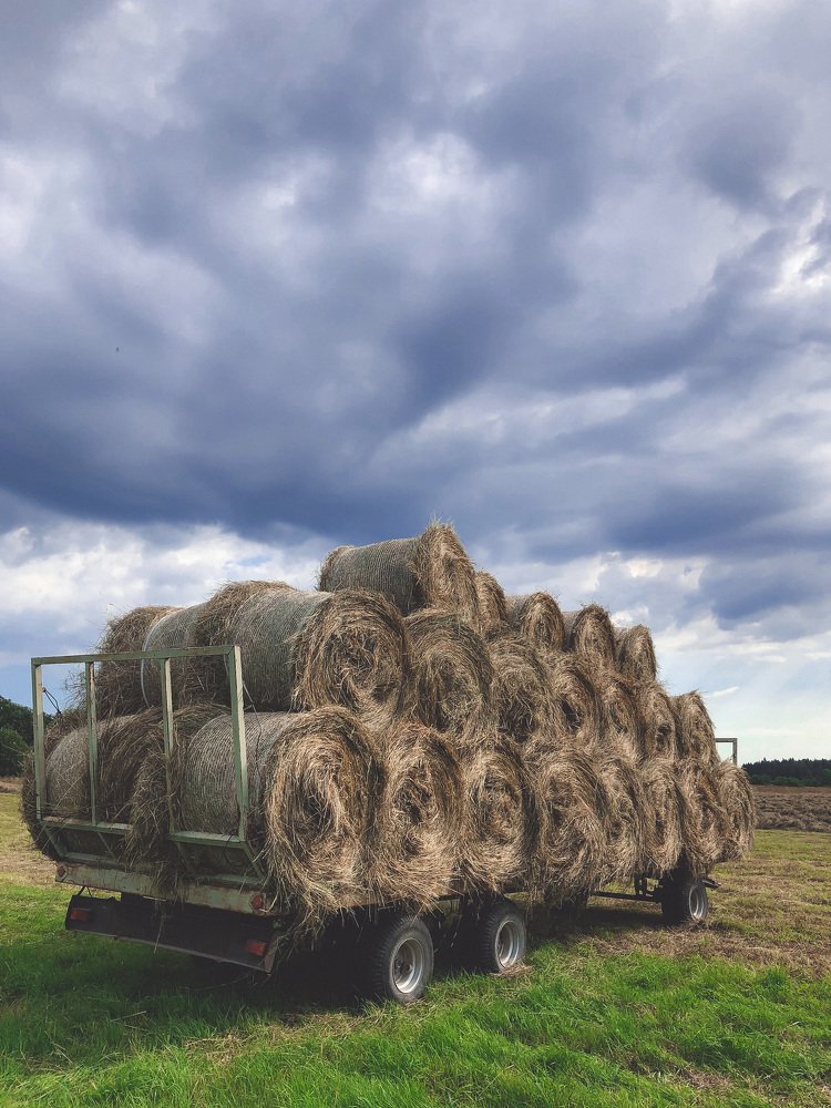 Photograph by Валерия