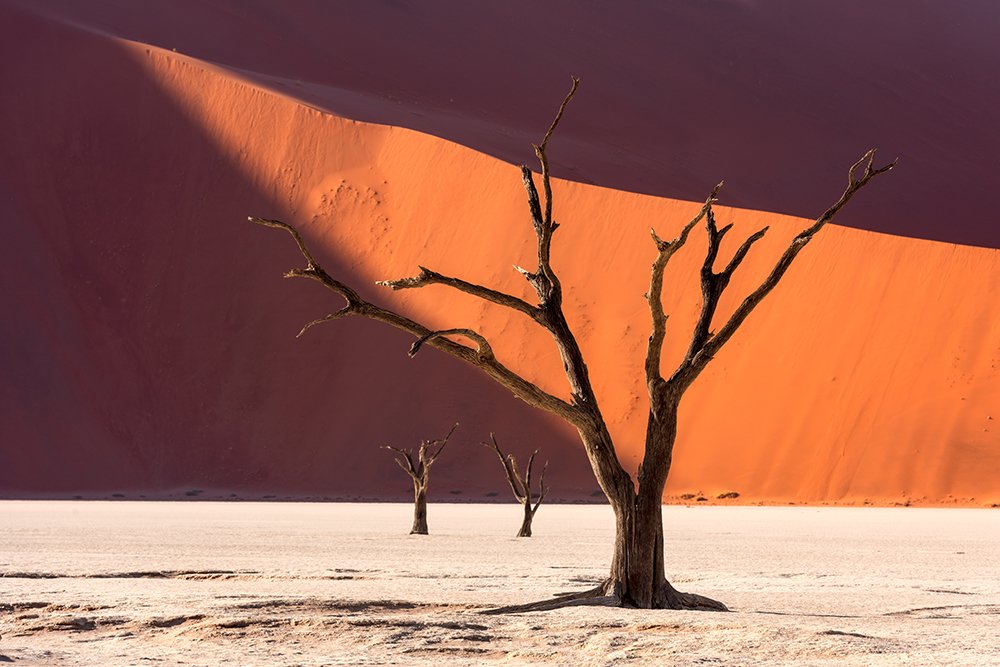 Photograph by Моисеева Надежда