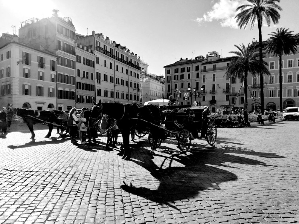 Photograph by Martin Kiryakov