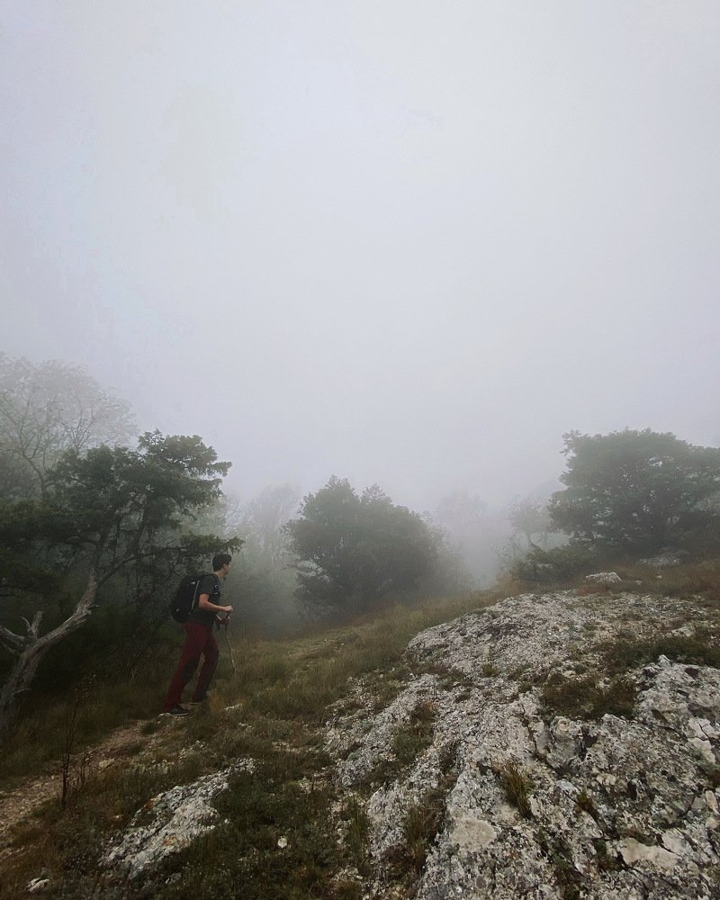 Photograph by Юрьева Ольга