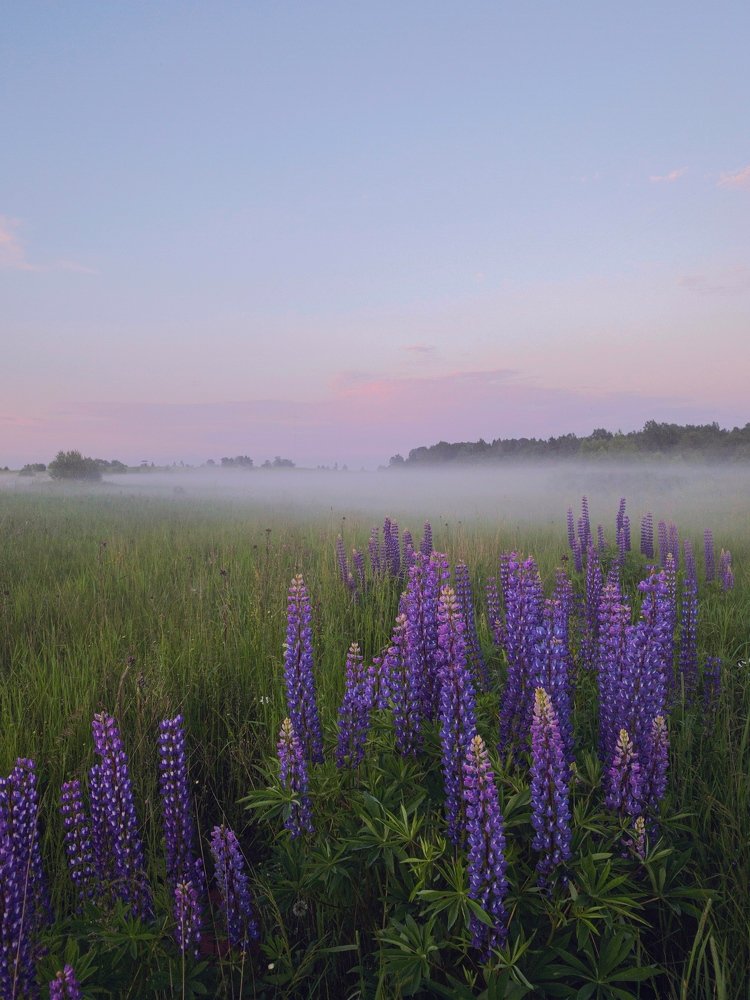 Photograph by Юрьева Ольга