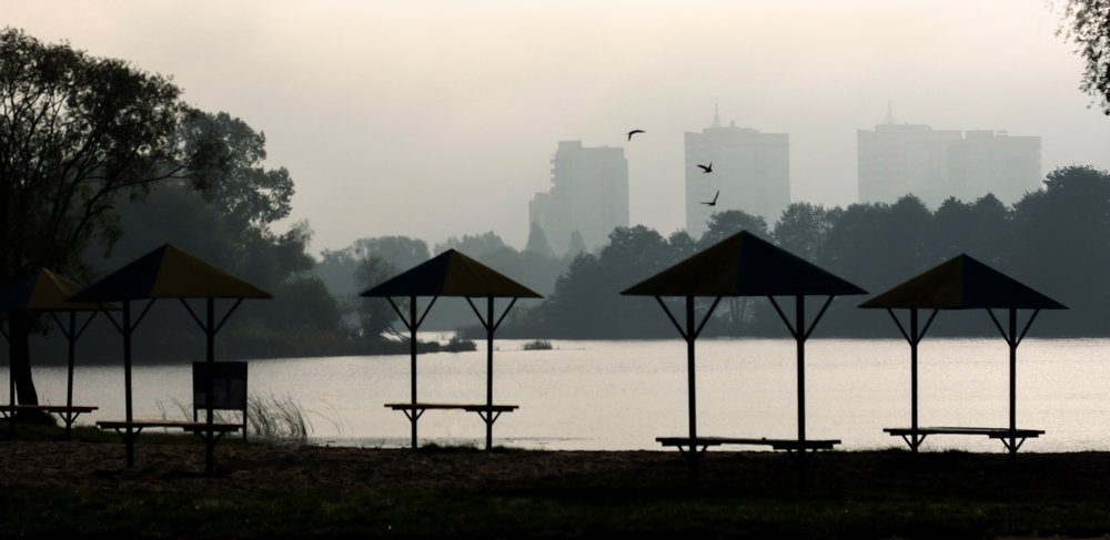 Photograph by Светлана Жорнова