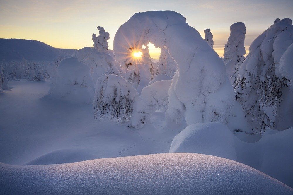 Photograph by Василий Яковлев
