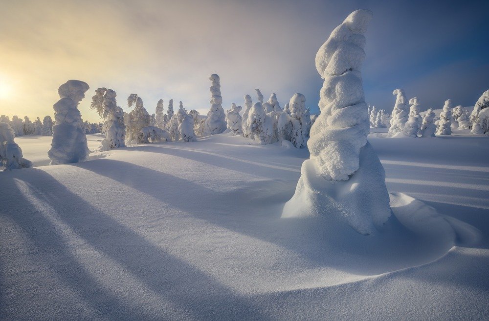 Photograph by Василий Яковлев