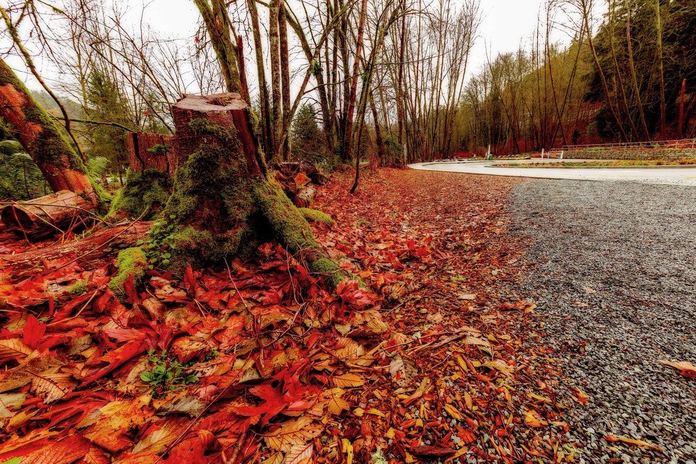 Photograph by Ali Mohammadi Fard