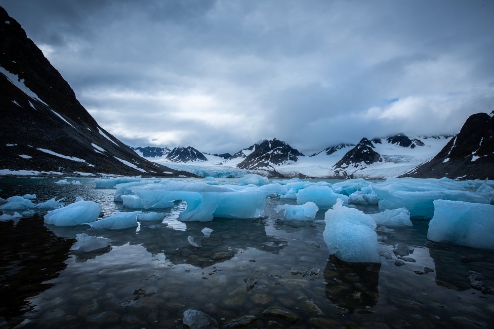 Photograph by Dominik Gugerli