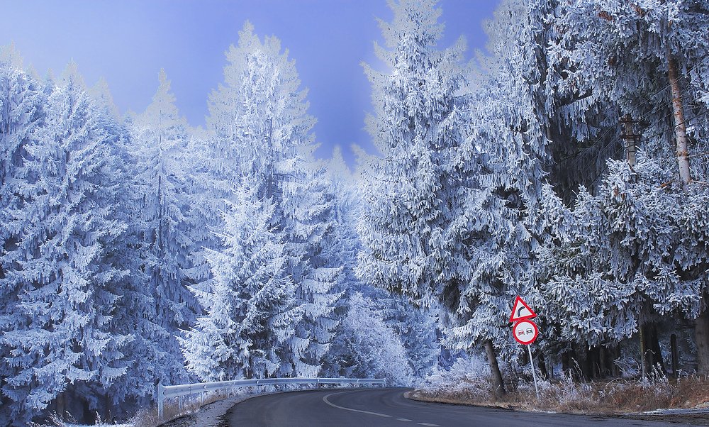 Rime on the Harghita