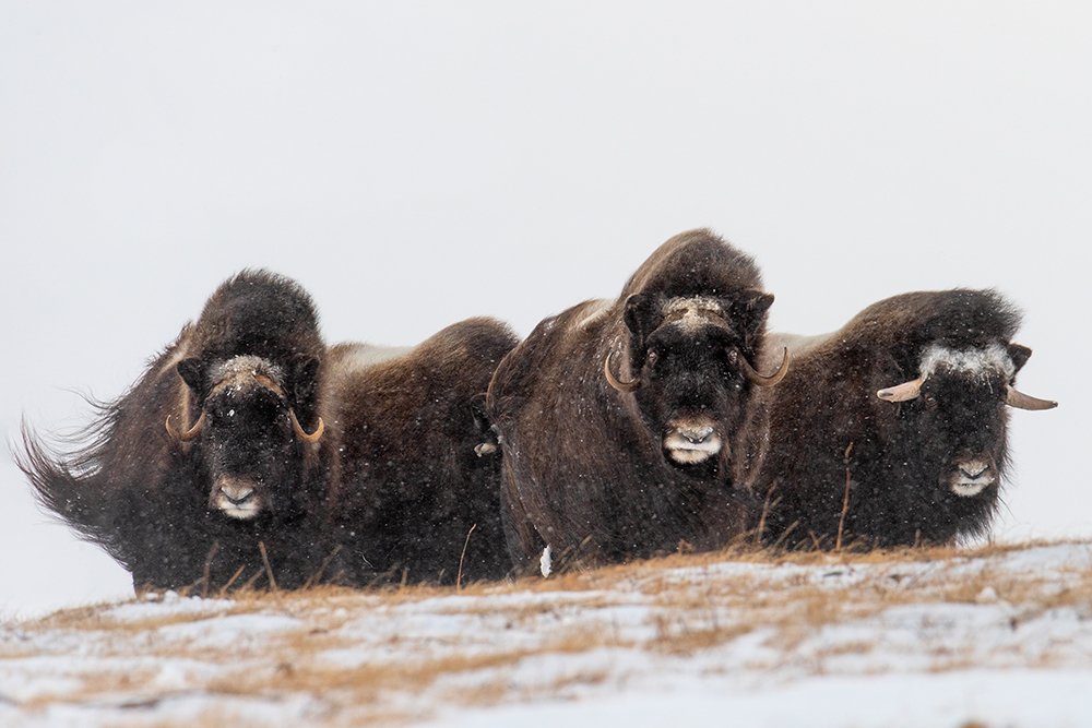 Photograph by Моисеева Надежда