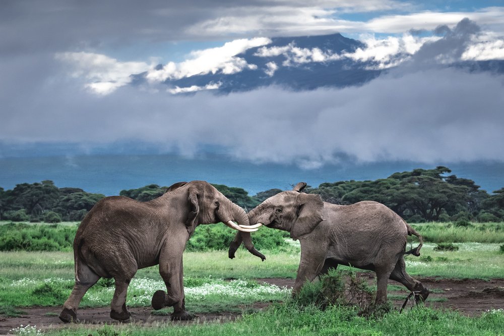 Столкновение/Encounter