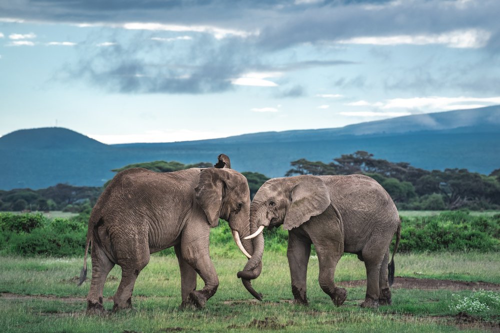 Photograph by Дмитрий Николаев