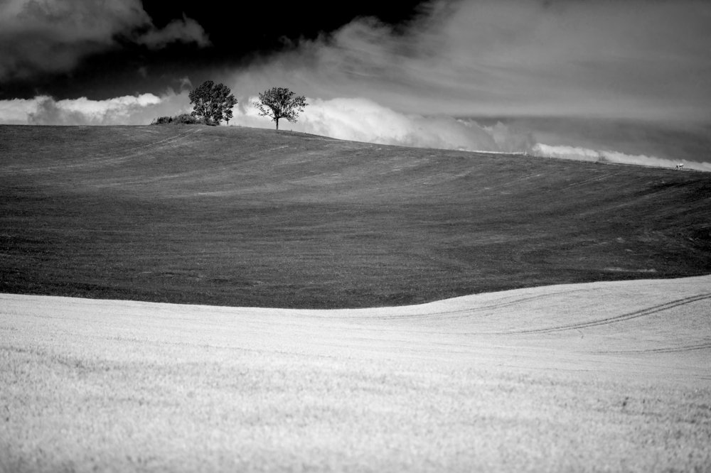 Photograph by Wiktor Baron