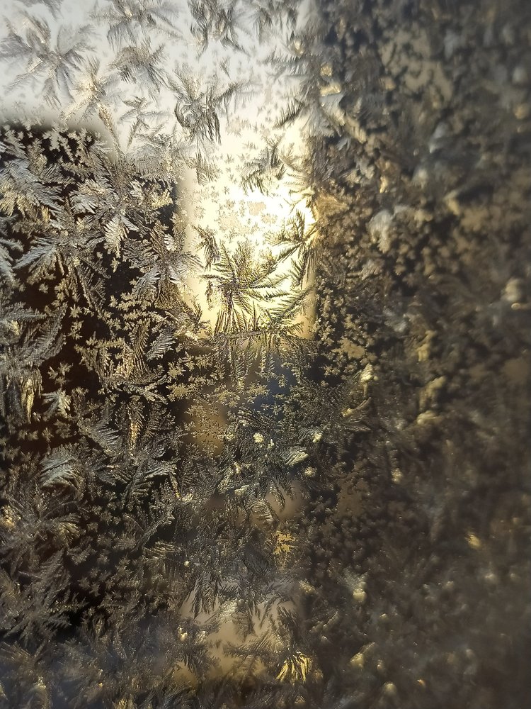 Photograph by Екатерина Зубарева