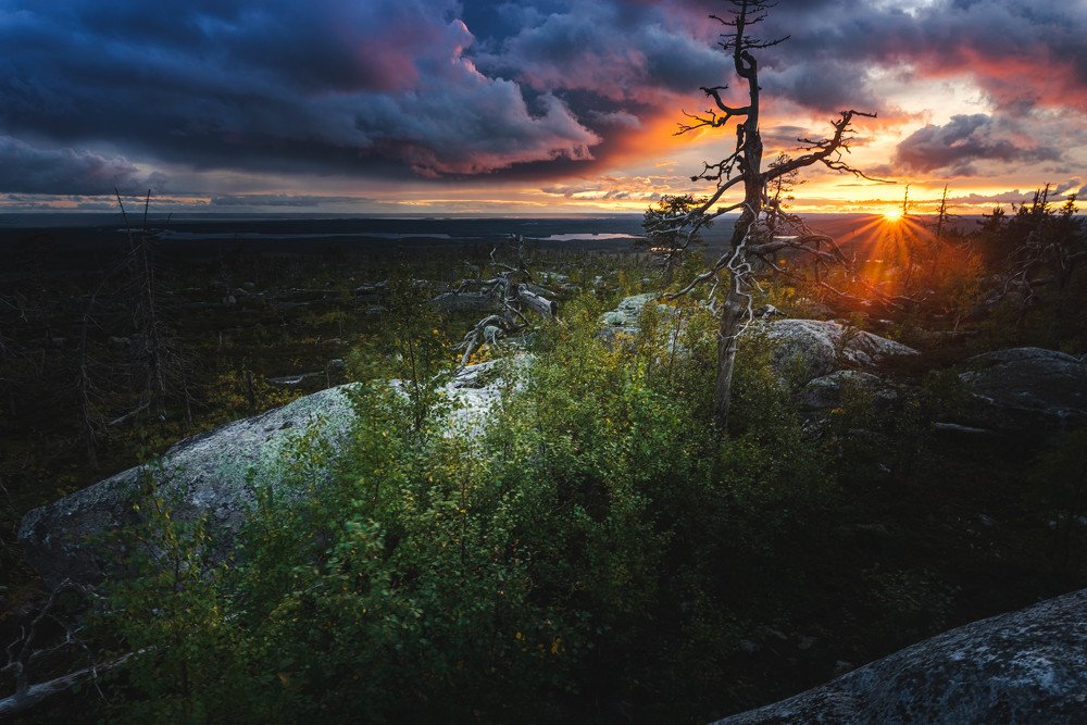 Photograph by Евгений Волосков
