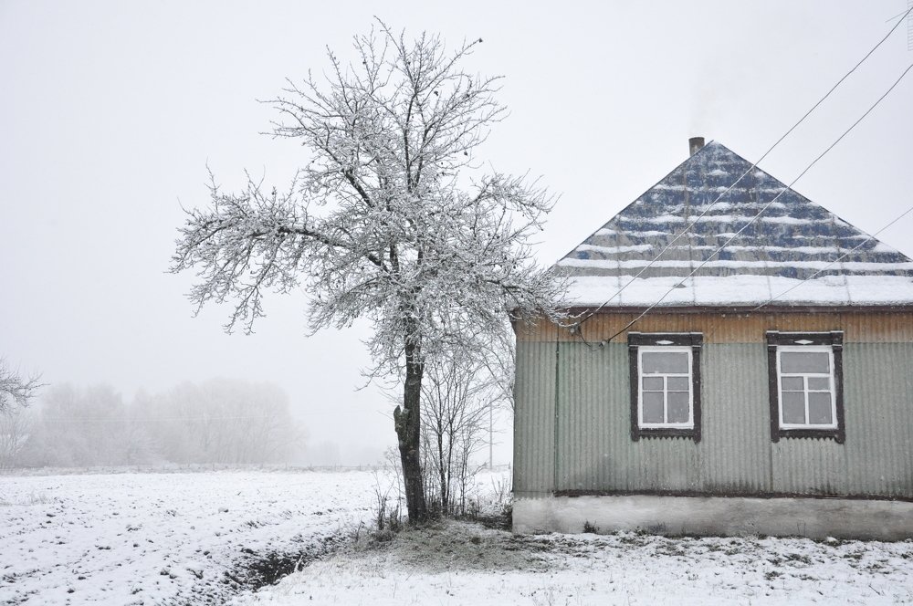 Photograph by Галина Лысых