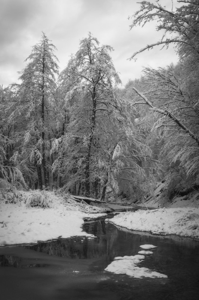 Photograph by Антон Литвин