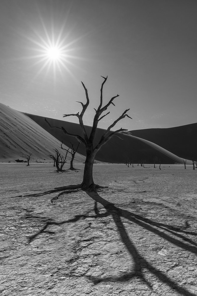 Photograph by Моисеева Надежда