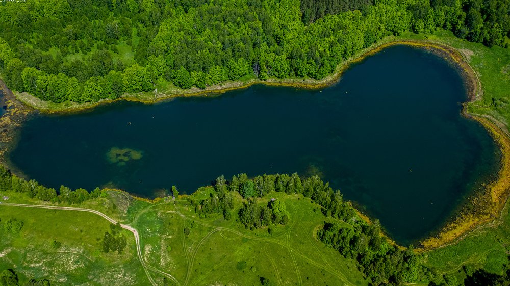 Photograph by Паша Савельев