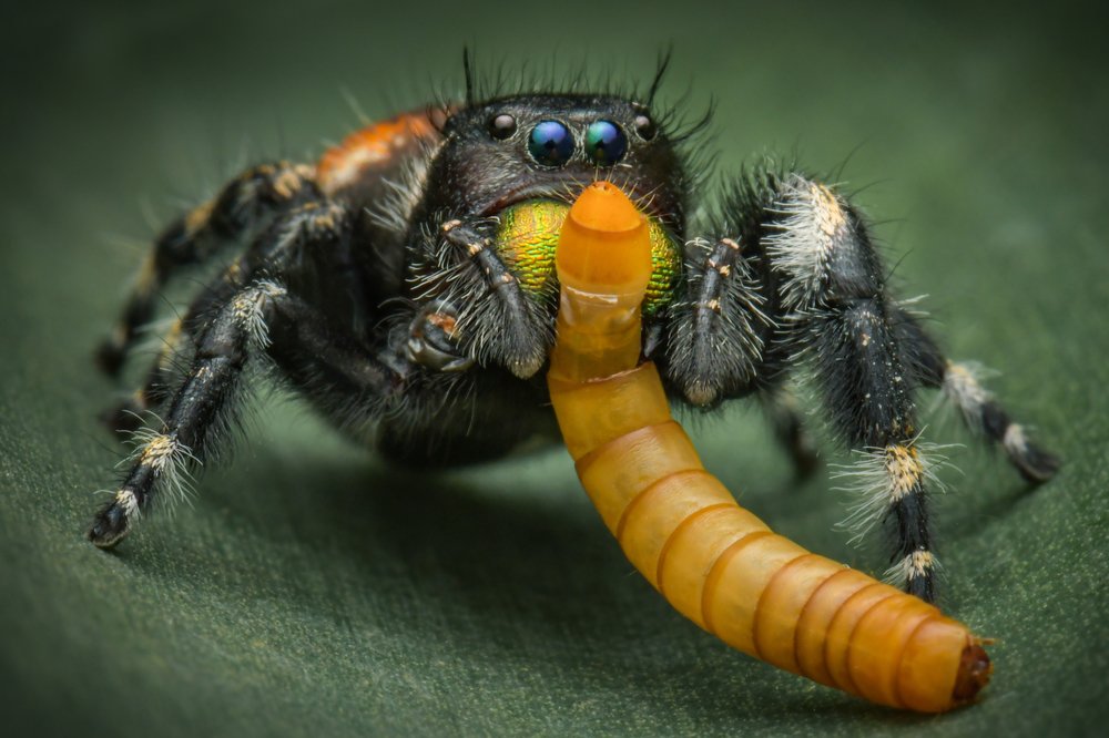 Photograph by Setiadi Ajar