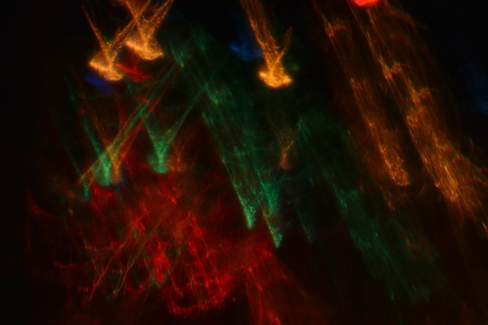 Photograph by Светлана Лебедева