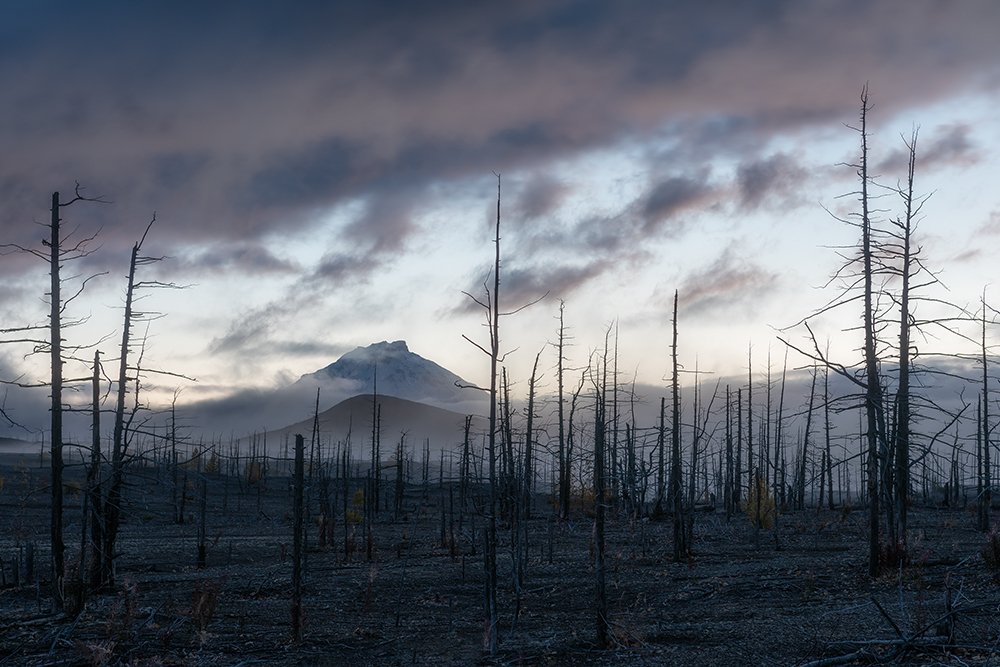 Photograph by Моисеева Надежда