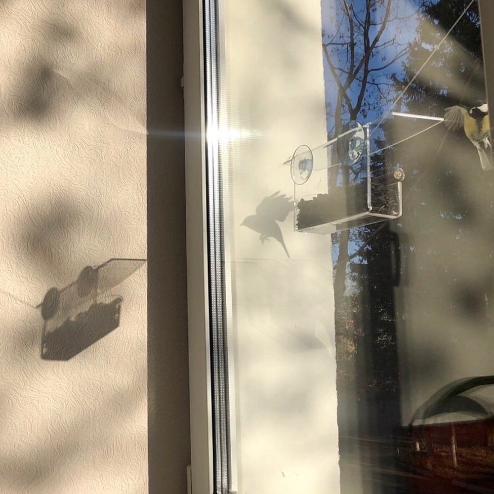 Photograph by Ирина Леонова