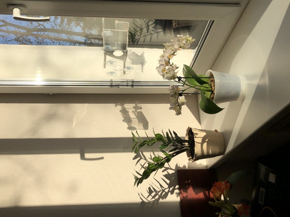 Photograph by Ирина Леонова