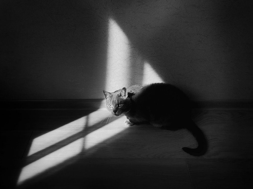 Photograph by Ирина Леонова