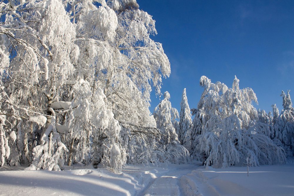 Зимняя сказка