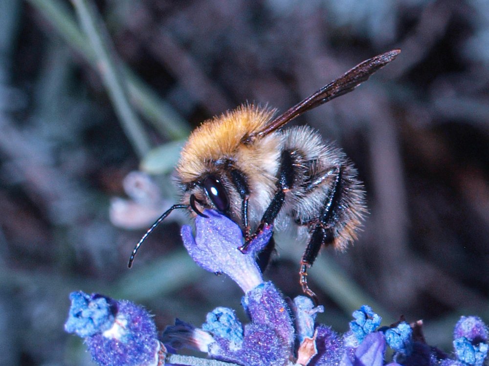 Photograph by Csótai Katalin