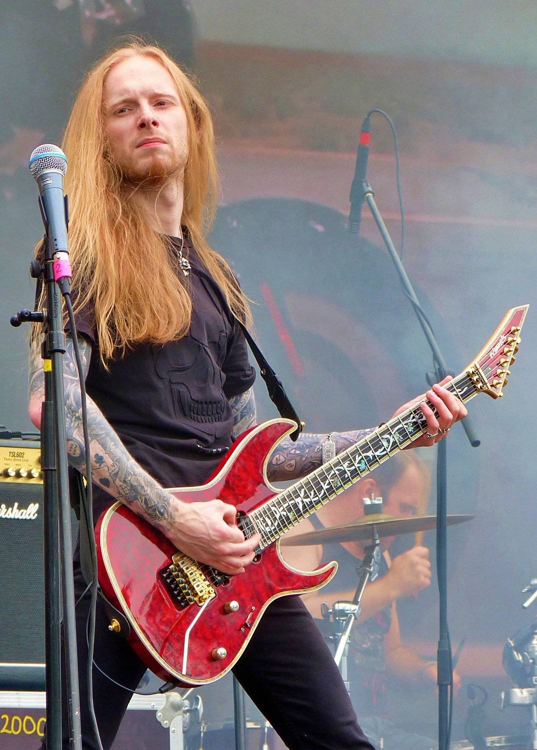 гитарист (guitarist)