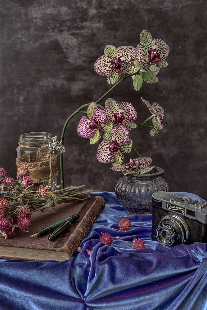 Photograph by Dragan Cerovic