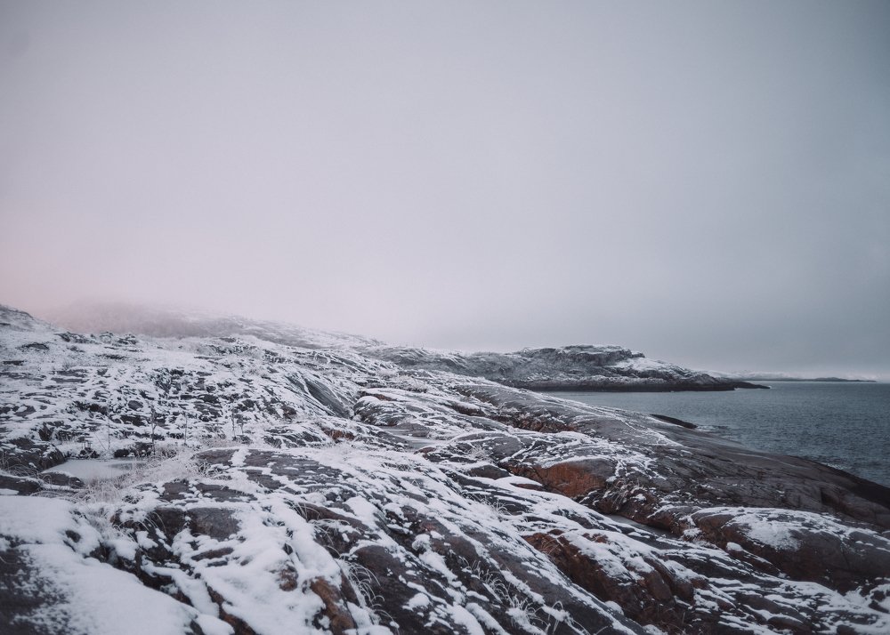 Photograph by Olga Zakharova