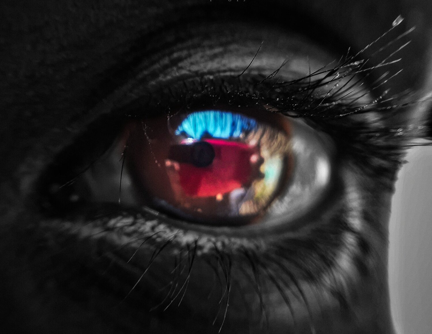 Photo #5431330