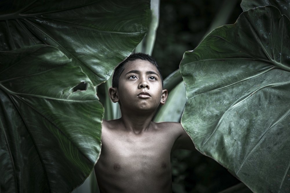 Photograph by jack Leong