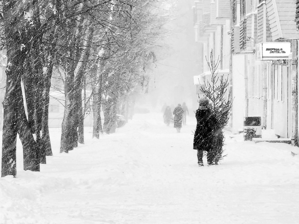 Предновогодняя суета