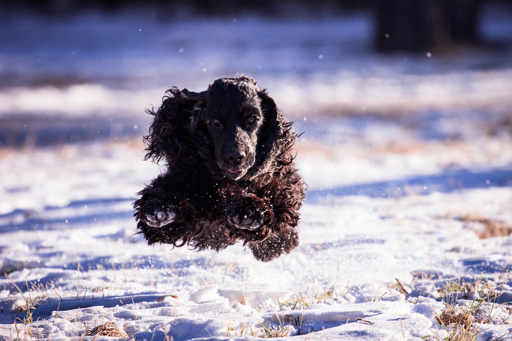 Photograph by Наталья Степанова