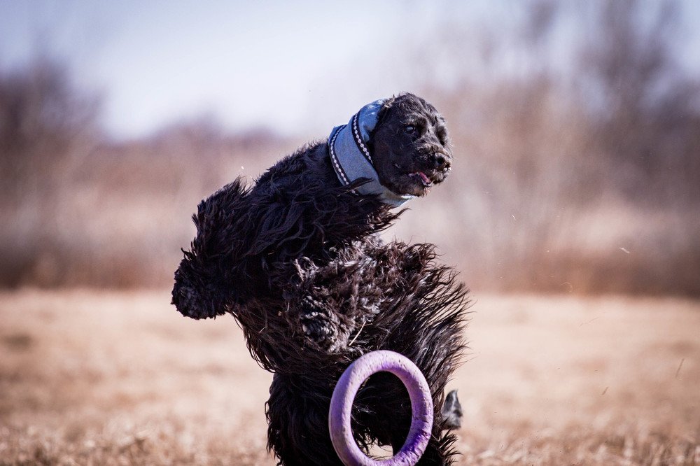 Photograph by Наталья Степанова