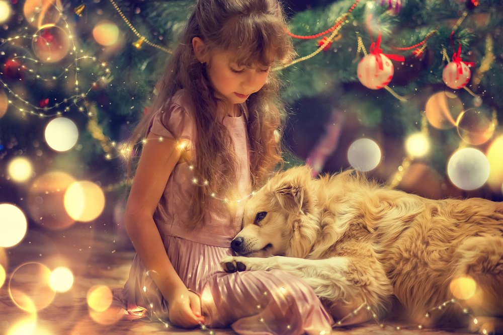 Фотография автора Виктория Рубан