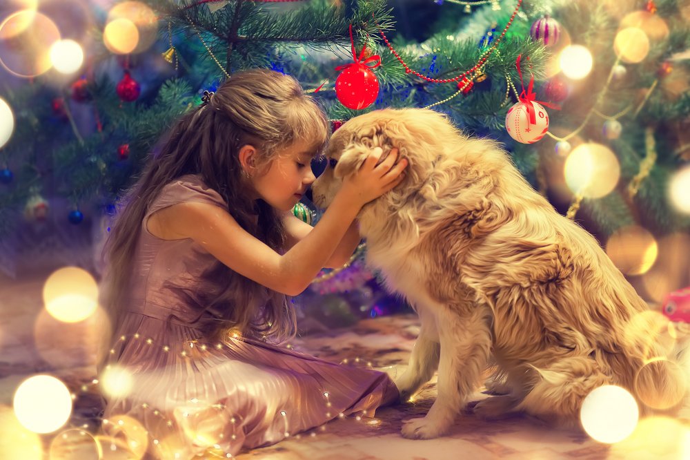 Фотография автора Виктория Рубан