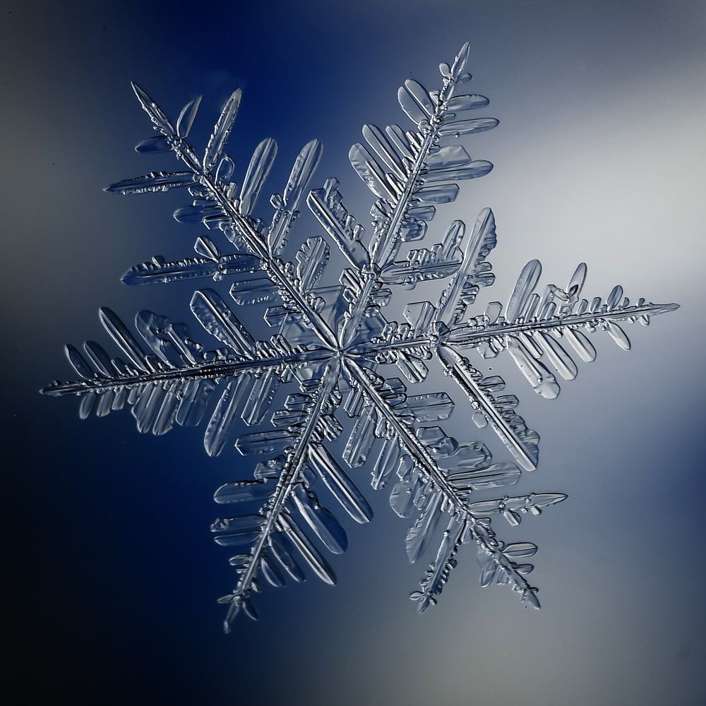 Photograph by Алексей Козлов