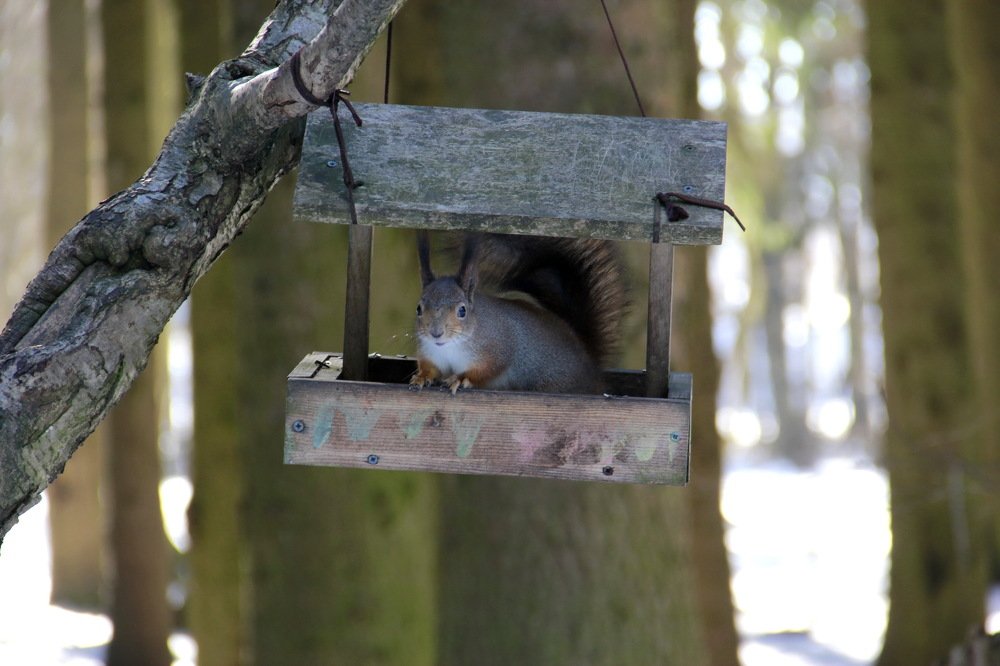 Photograph by Анна-Лаймуте Милошевич